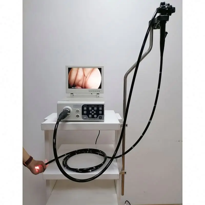 High Quality Portable Veterinary Endoscope Gastrointestinal Endoscopy Camera for Pet Clinics and Animal Hospitals