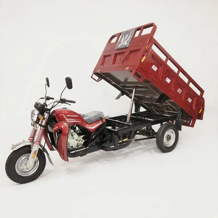 Wholesale Price Custom Gasoline Engine Three Wheel Cargo Tricycle Dump Tricycles
