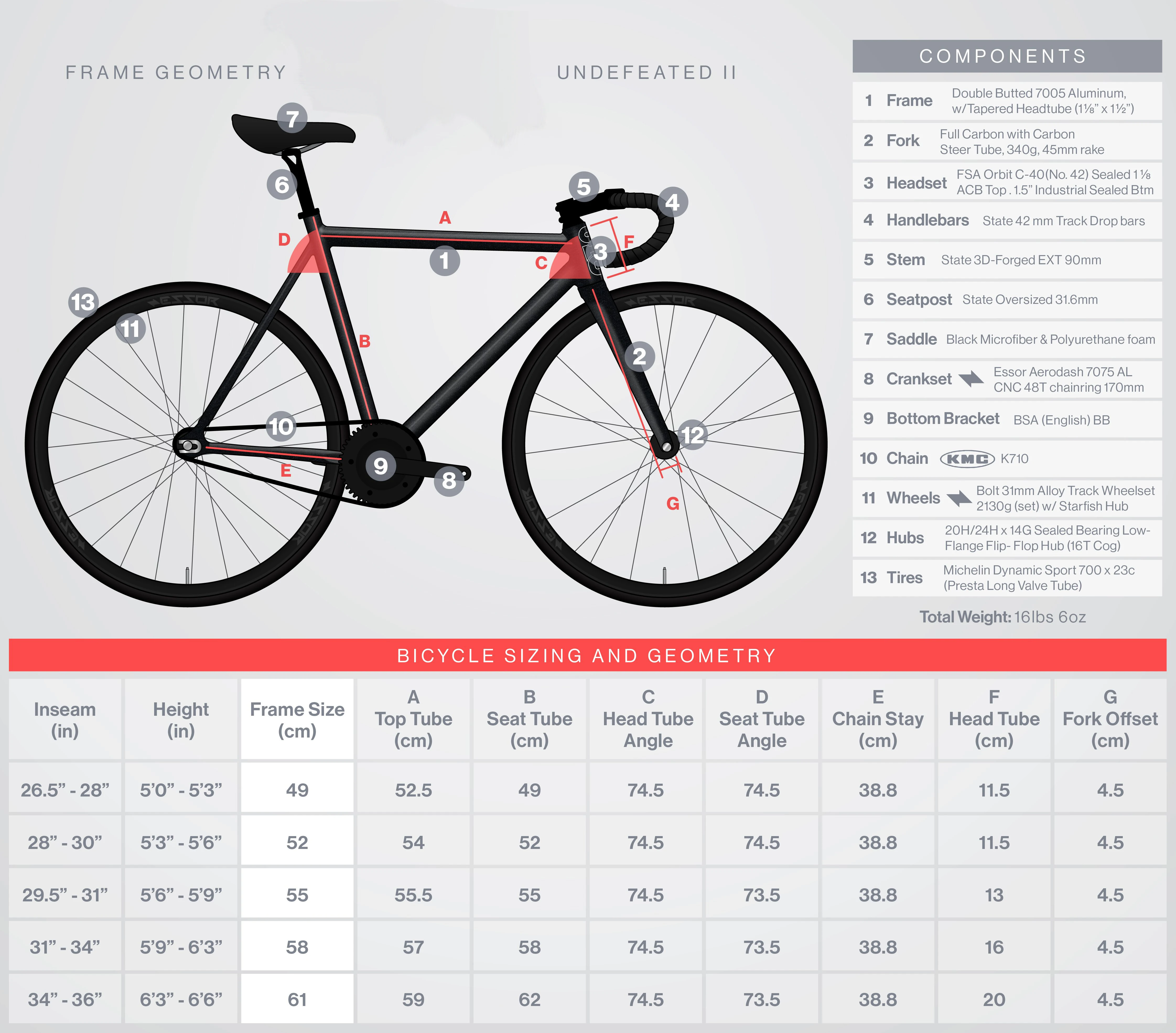 UndefeatedResize  m.jpg