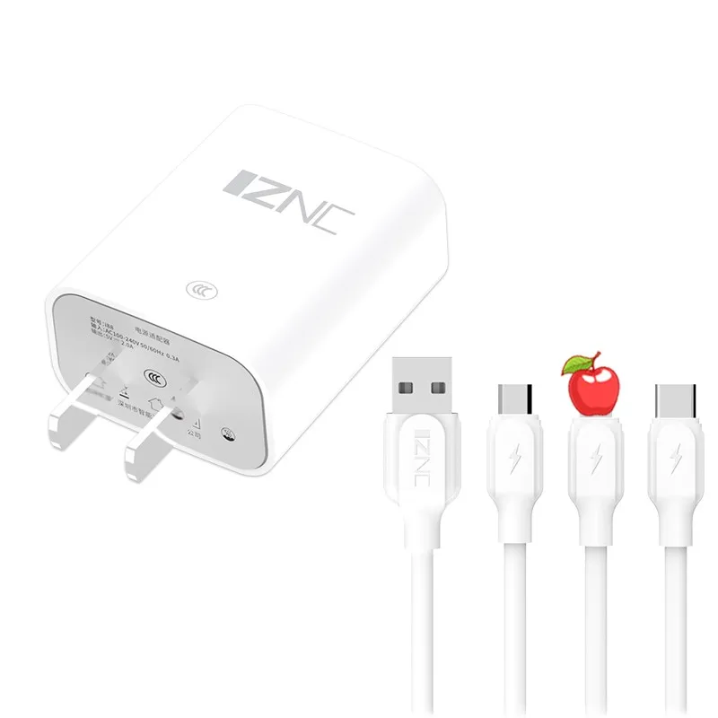 Wholesale High Quality 5V 2A Fast Charger Kit Adapter for Iphone and Android Travel Charger