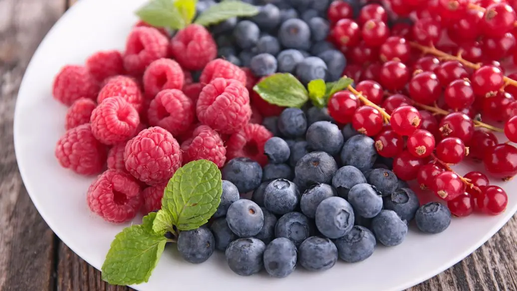 
frozen wild blueberry IQF wild blueberries 