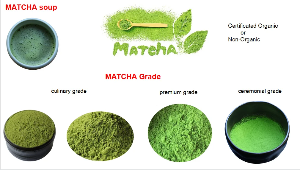 matcha 2.png
