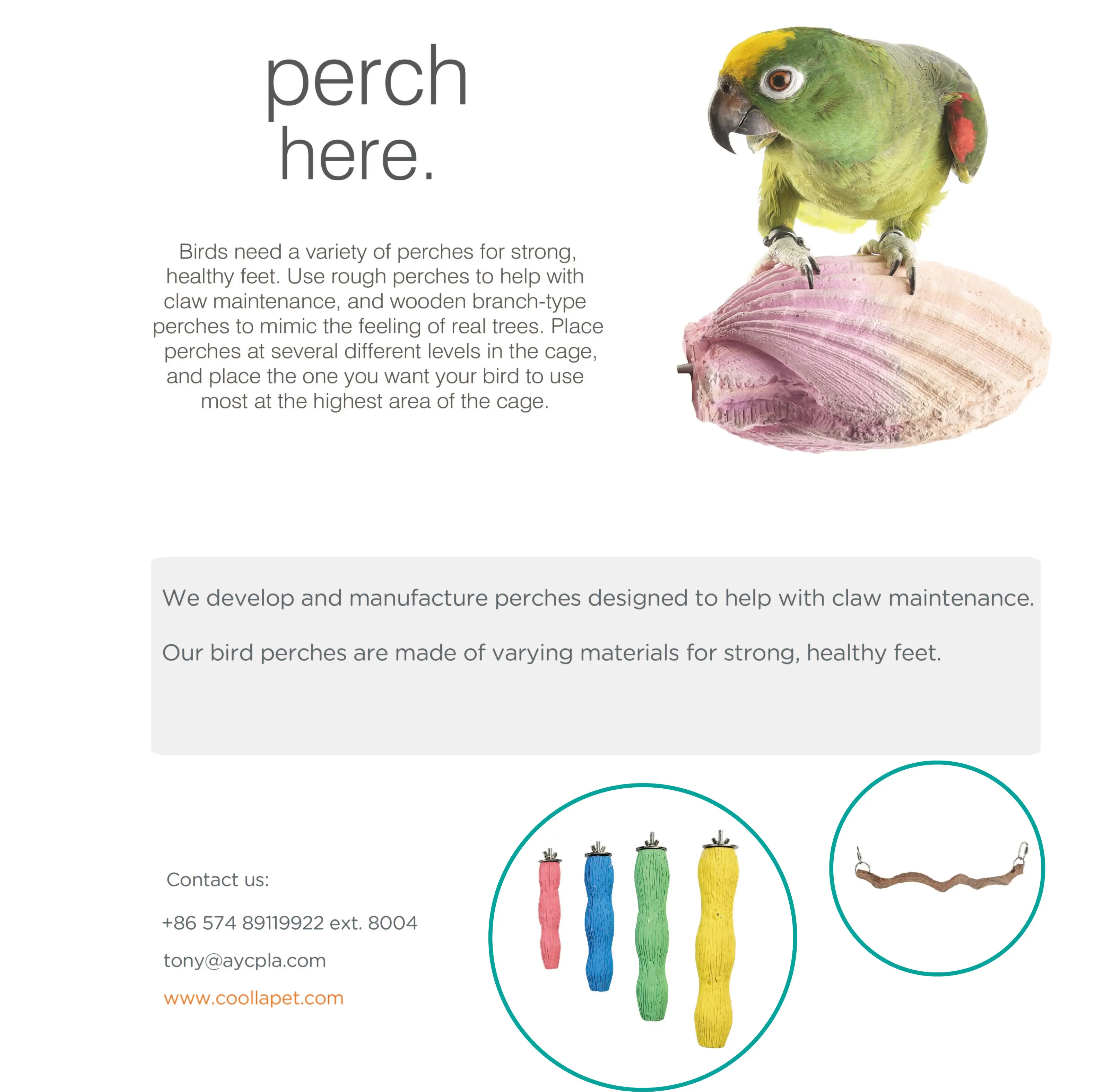 bird perch description.jpg