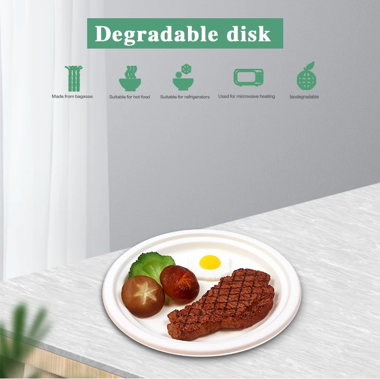 9 inch Eco-Friendly Natural Sugarcane Fiber Compostable Disposable Bagasse Plates
