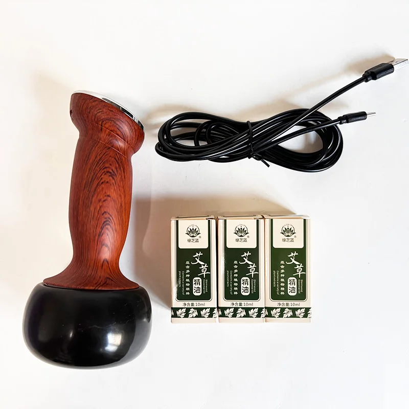 2024 Hot Sale Electric Meridian Bianstone Moxibustion Instrument Scraping Body Massage Meridian Health Care Tools