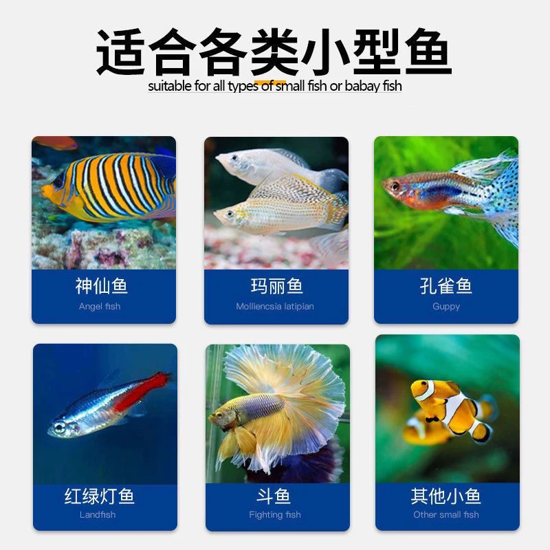 super-fine eggs minnows birth feeding food and High hatchability  Artemia Cysts Bohai bay Eggs