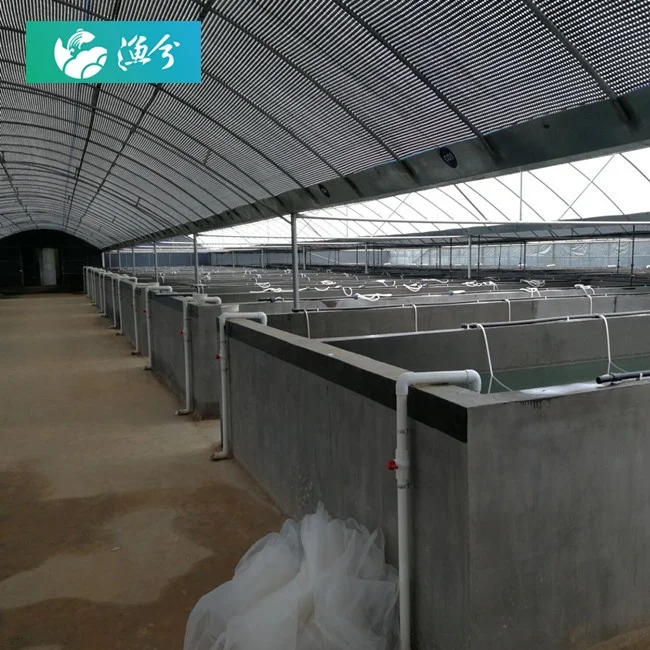 
Aquaculture tanks for large circulating water shrimp farm 