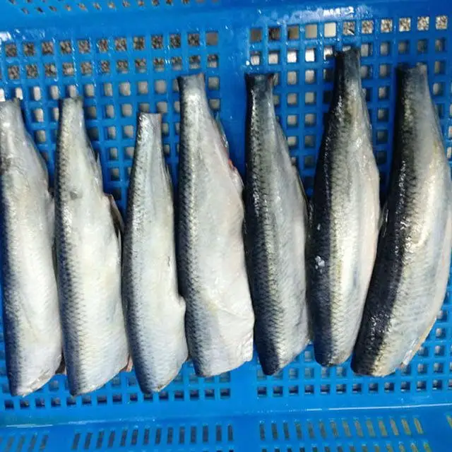Hot sale  frozen Pacific Herring fillet IQF