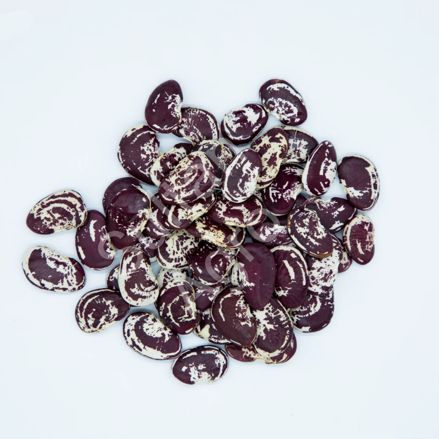 Натуральная красная зернистая фасоль, Высококачественная Органическая фасоль оптом от производителя Узбекистана