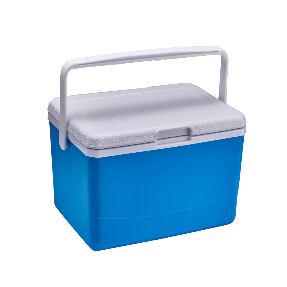 Wholesale 5L Plastic Cooler Box With Handle
