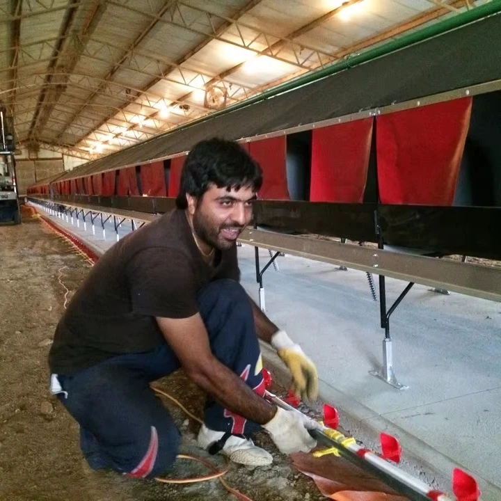 High Quality Fully Automatic Broiler Farm Chicken Feeding Line for Poultry Feed System