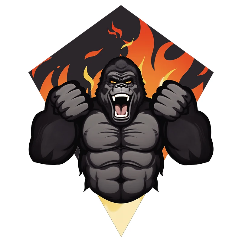 2024 New Arrival Outdoor diamond shape flying kite