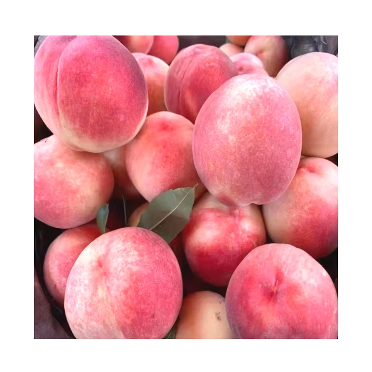 Manufacturers Direct Sale Fruit Beijing no.7 Fresh Peaches On Sale