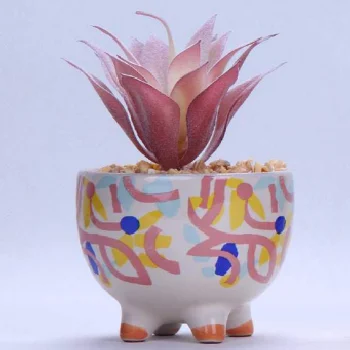 2024 Hot Selling Red Clay Ceramic Succulent Flower Pot Indoor Ornaments Ceramic Animal Small Flower Pot
