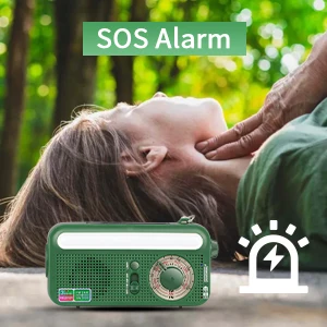 High end emergency radio hand crank solar red cross usb c 2000 mAh FM/AM/SW Radio Speaker SOS Alarm LED Torch Reading Lamp