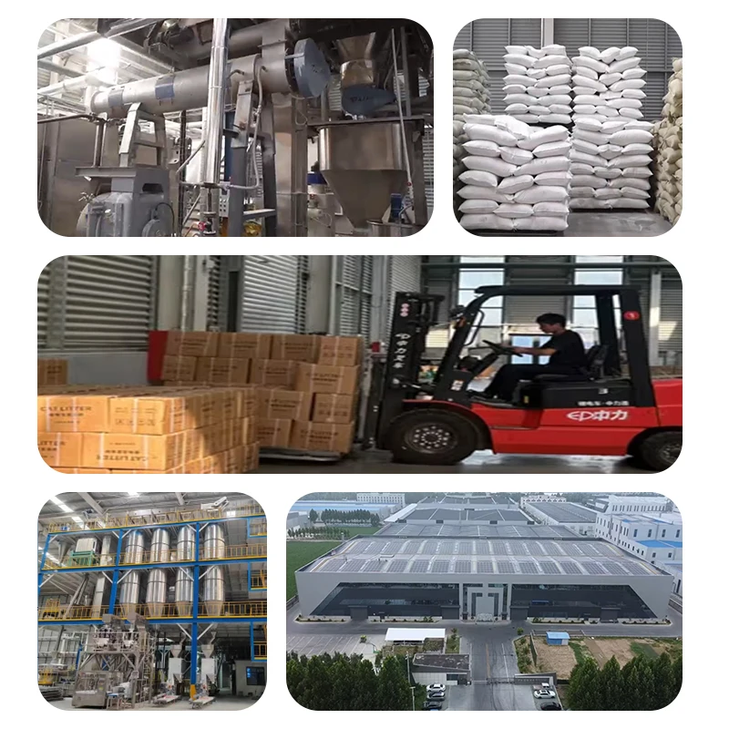 Strong Adsorption Cat Sand Cat Clay Litter Bentonite Sand For Cat