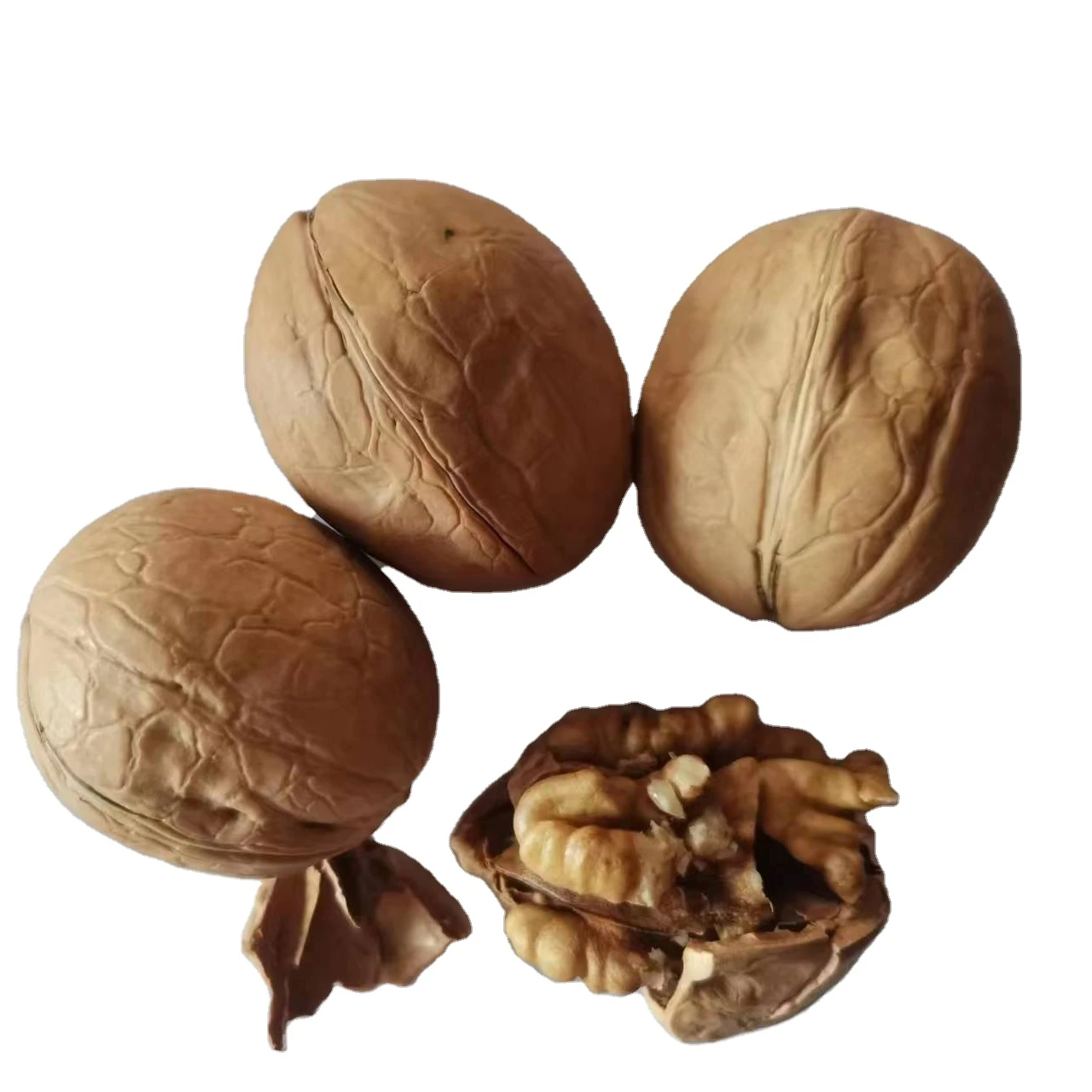Supplier Walnut Xinjiang Bulk Dry Fruit Paper 33 185 Xingfu Thin Walnut in Shell
