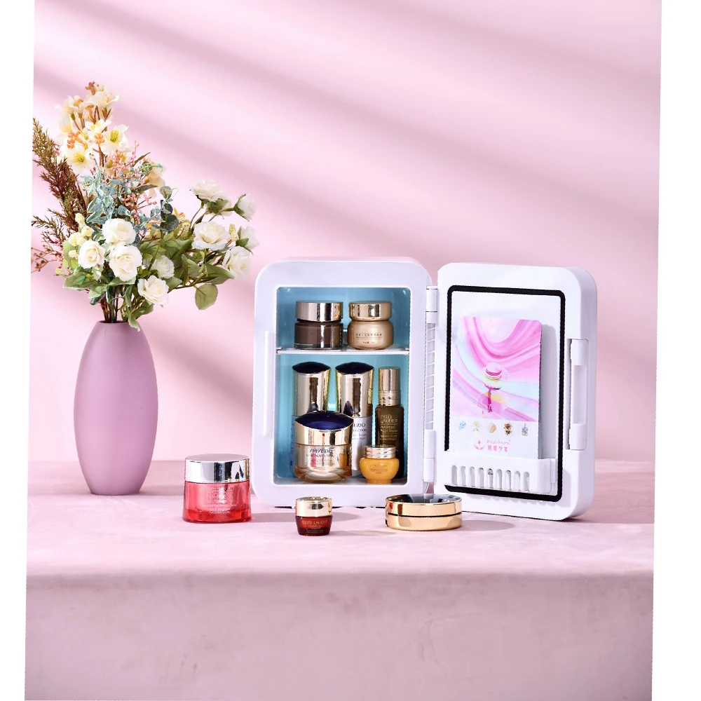 custom logo portable LED mirror skincare 5L 8L 10L 12L cosmetic mini car refrigerator mini fridge portable compressor cooler box
