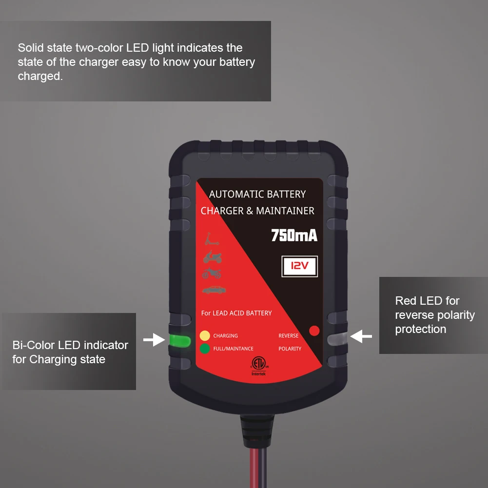 12 В 750 мА свинцово-Кислотное зарядное устройство и вспомогательное зарядное устройство для аккумулятора мотоцикла