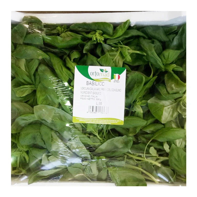
Italian Good Quality Fresh Vegetable Fresh Basil Leaves 