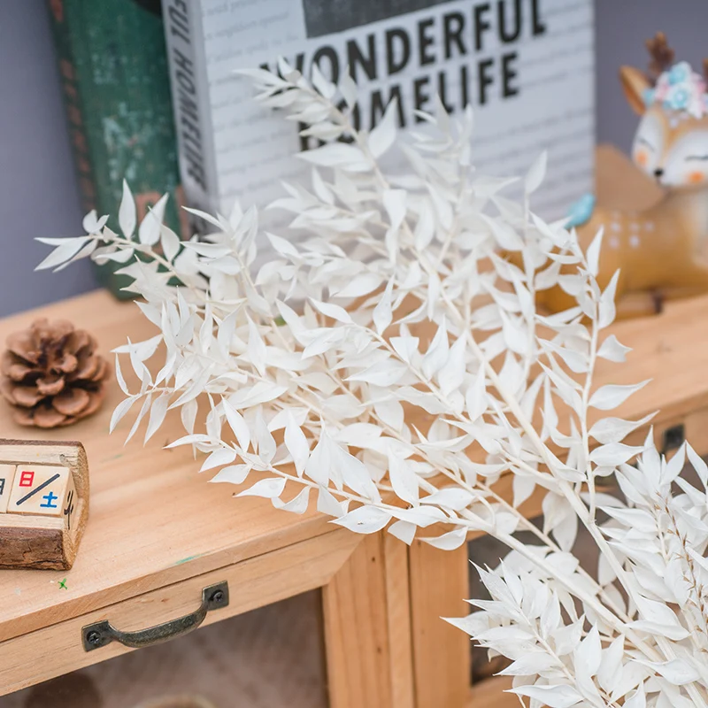 wholesale Factory Supply Riches Leaf Grass Real Artificial Dried Natural Flowers Ruscus Decorative Flowers & Wreath