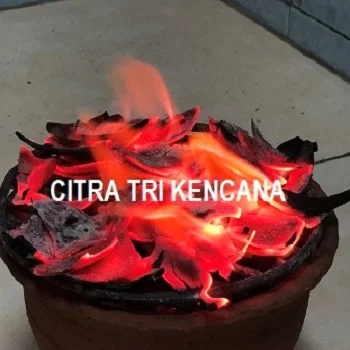 CHINA 100% COCONUT SHELL CHARCOAL USE FOR ACTIVE CARBON GOOD FOR AGRICULTURE FERTILISER FOR GARDEN AND PLANTING IN Dingxi CHINA