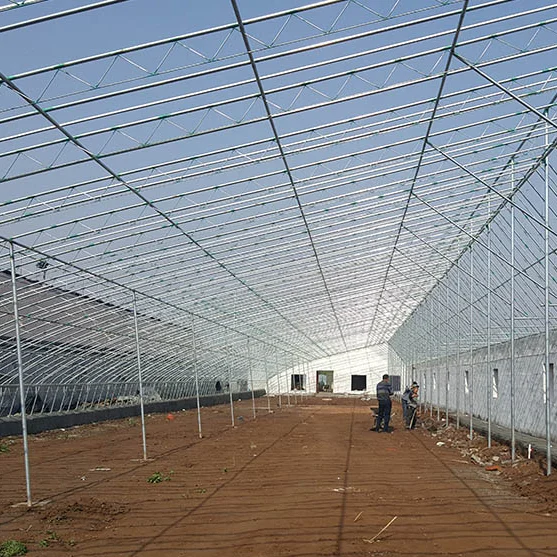 Solar power warm winter tunnel greenhouse