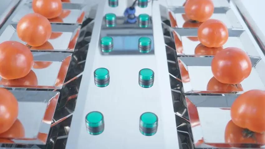 Manual Weighing Beef Steak Fruit Vegetable Desk-Top Combination Weigher Weighing Machine