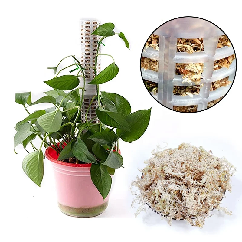 Stackable Sphagnum Moss Pole Self Watering Plastic Plant Stick Transparent for Home Garden