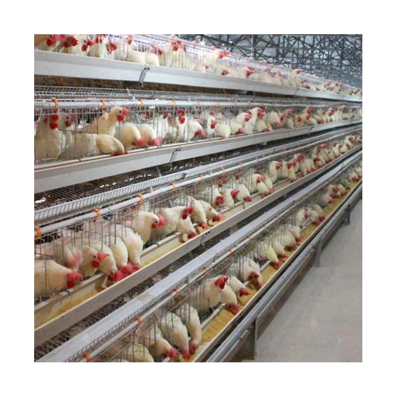 Commercial Chicken Feeding Farm Battery Cages Laying Hens Sell in algeria