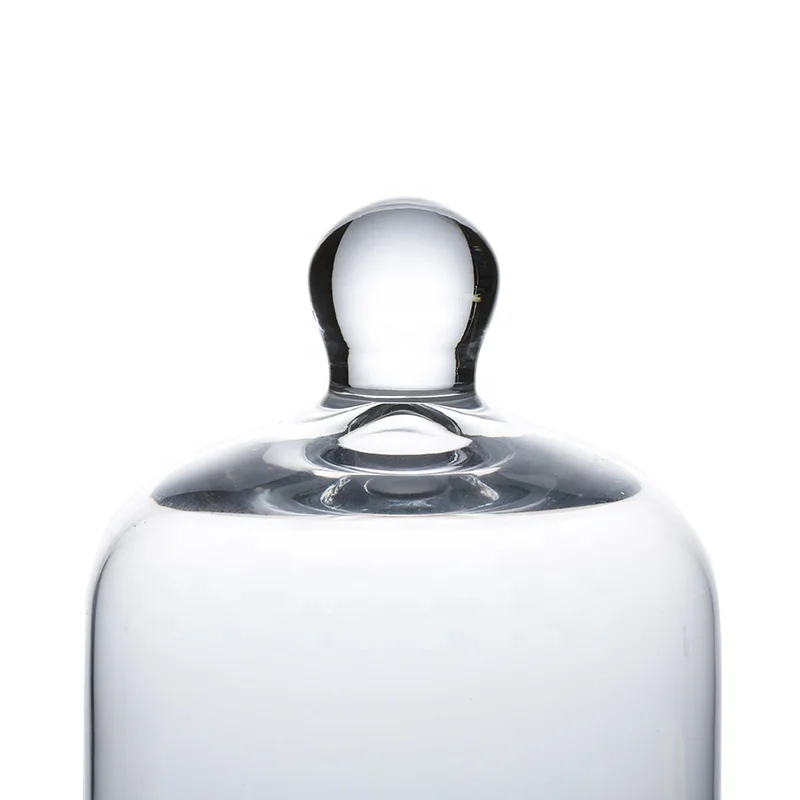 DIY Transparent Blown Glass Flower Cover Micro Landscape Tabletop Decorations for Garden House Jar