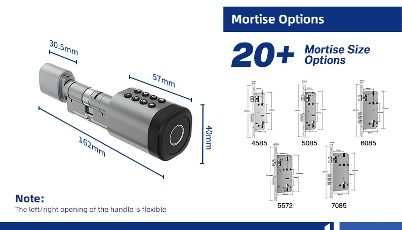 Liliwise Tuya Ttlock Fingerprint  Lock Adjustable WiFi BLE Digital Door Lock Smart Cylinder with Mechanical Key