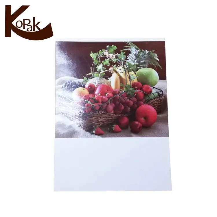 Cheap Wholesale Custom Eco-friendly Offset Printing Paper Paper Board