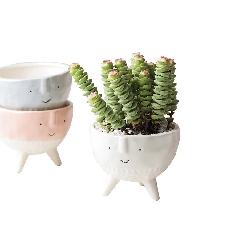 New Hot Selling Products Fashion China Wholesale garden supplies mini bonsai ceramic pot for succulent flower plant for Decor