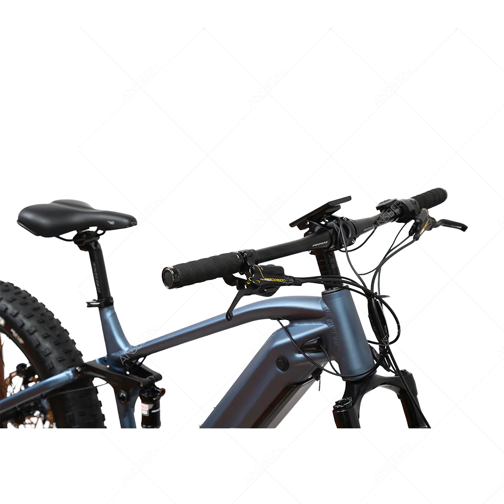 Ansbern 26/29 Inch G510 M620 48V/52V 1000W Bafang Mid Drive  Full Suspension Electric Downhill Mountain Bike With Emtb Full Susp