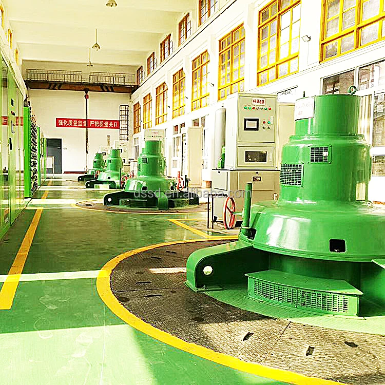 Customized Small Hydro Power Plant with 300KW-800KW Kaplan Turbine Mini Hydro Generator for Renewable Energy