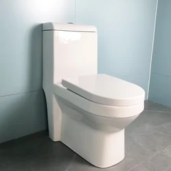 personal production line ceramic water closet toilet big size