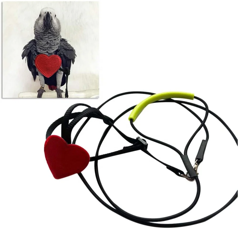 Bird Harness - Parrot Leash Adjustable Bird Leash Parrot Pets Outdoor Flying Training Rope for Small Middle Birds - Size XS S M