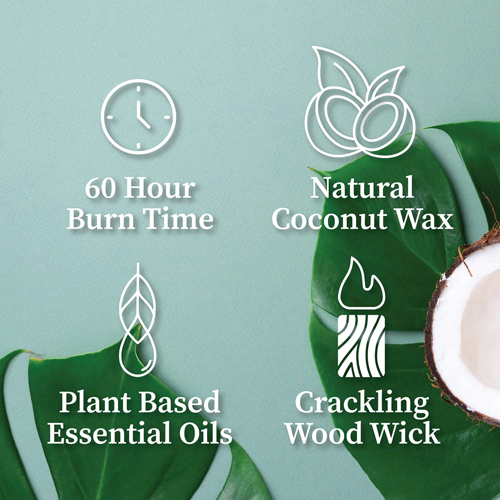 Luxury Long Time Blood Orange Burning Natural Coconut Wax Apothecary Scented Candles