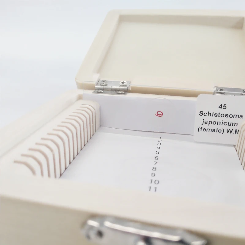 pathological parasitic microscope slide set for medical education research