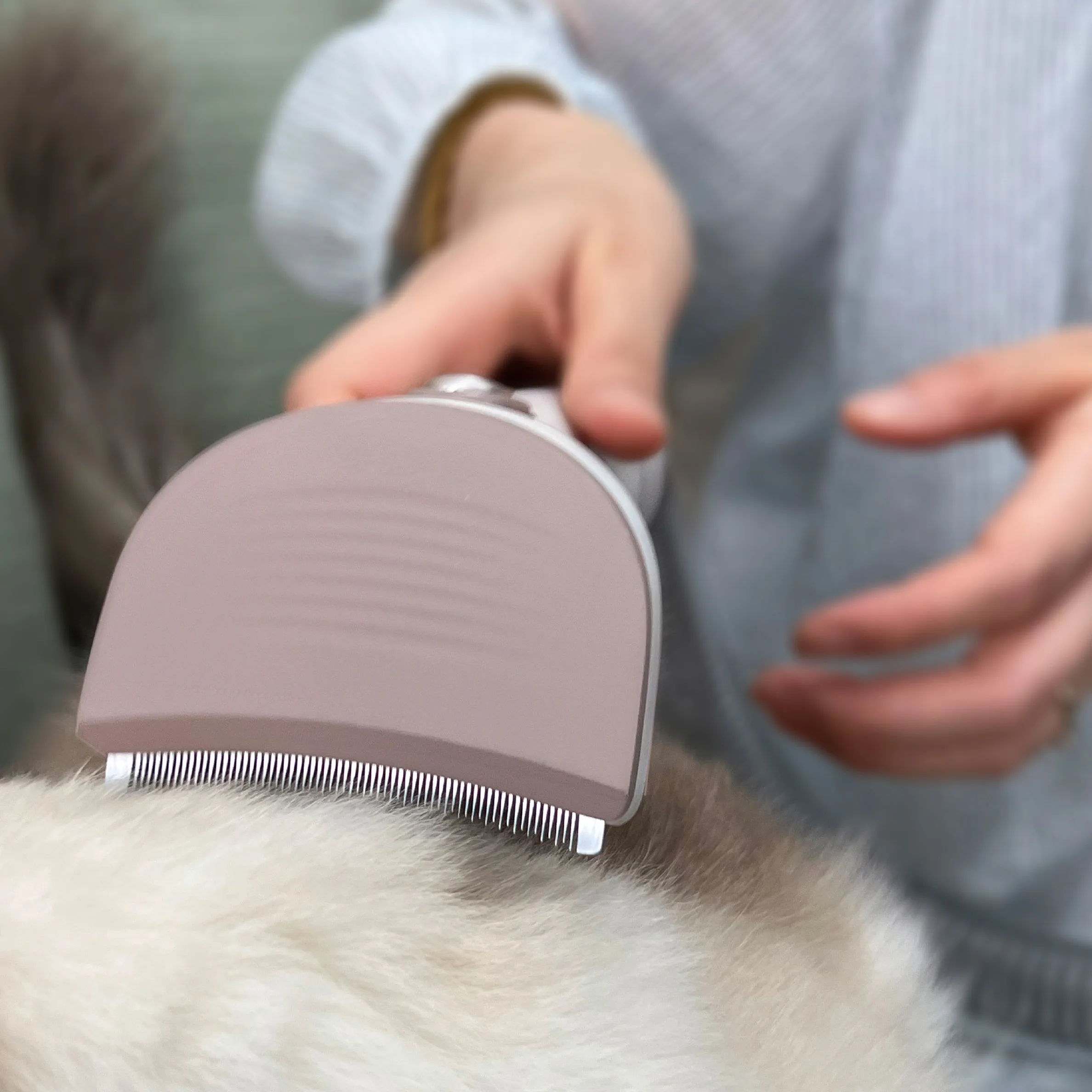 6 in 1 Pet Vacuum Cleaner Hair Grooming Electric Clipper Slicker Deshedding Cleaning Brush For Dog And Cat