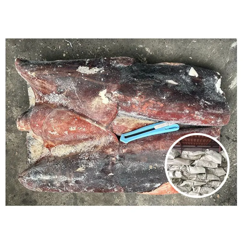 Seafrozen Quality Block Frozen Gigas Giant Dirty Squid Tube for Vietnam