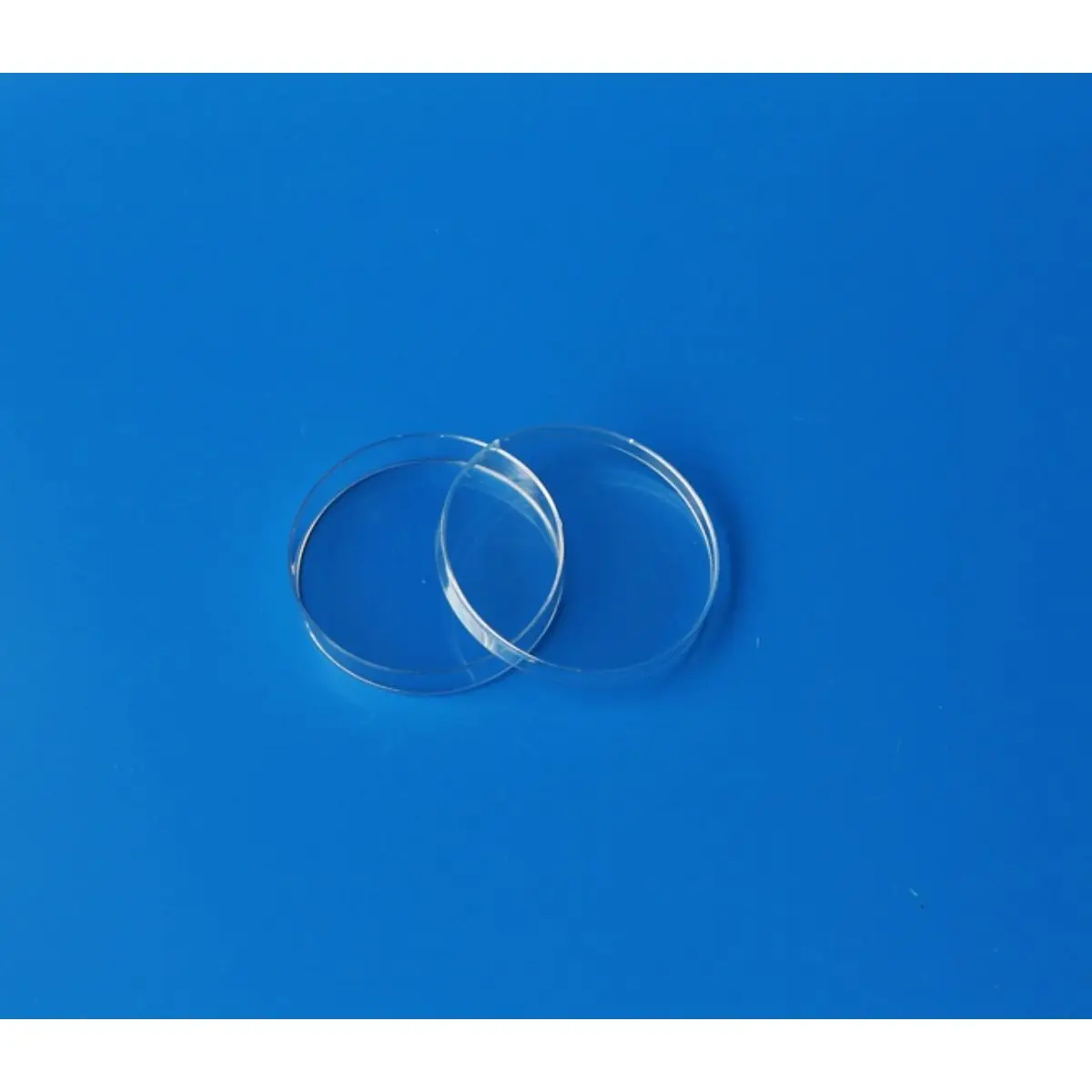 Petri dish plastic medical 60mm 70mm 90mm sterile with  ISO 13485 manufacturer variety style for lab tast