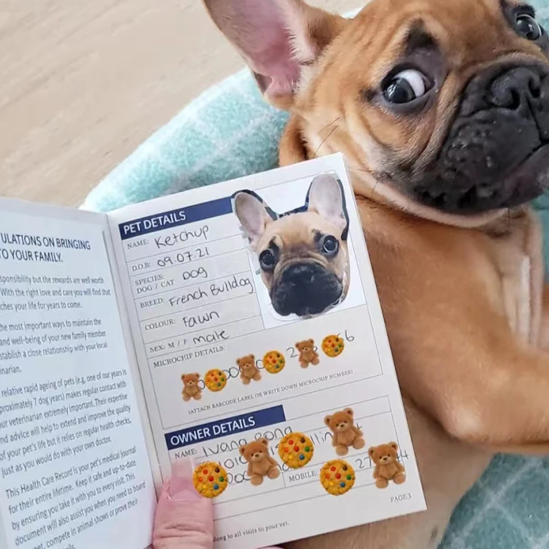 Cheap Custom Booklet Printing Puppy Animal  Certificate Cat Dog Pet Passport