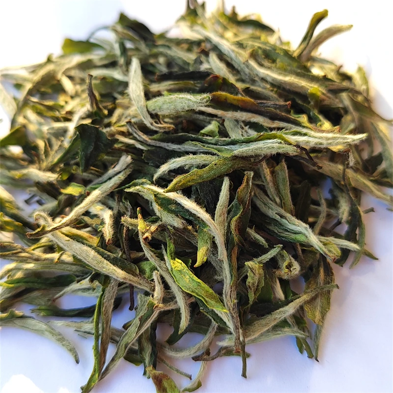 Spring Harvest Tea Manufacturers Wholesale Factory Price Premium EU Standard Bai Mu Dan White Peony White Tea