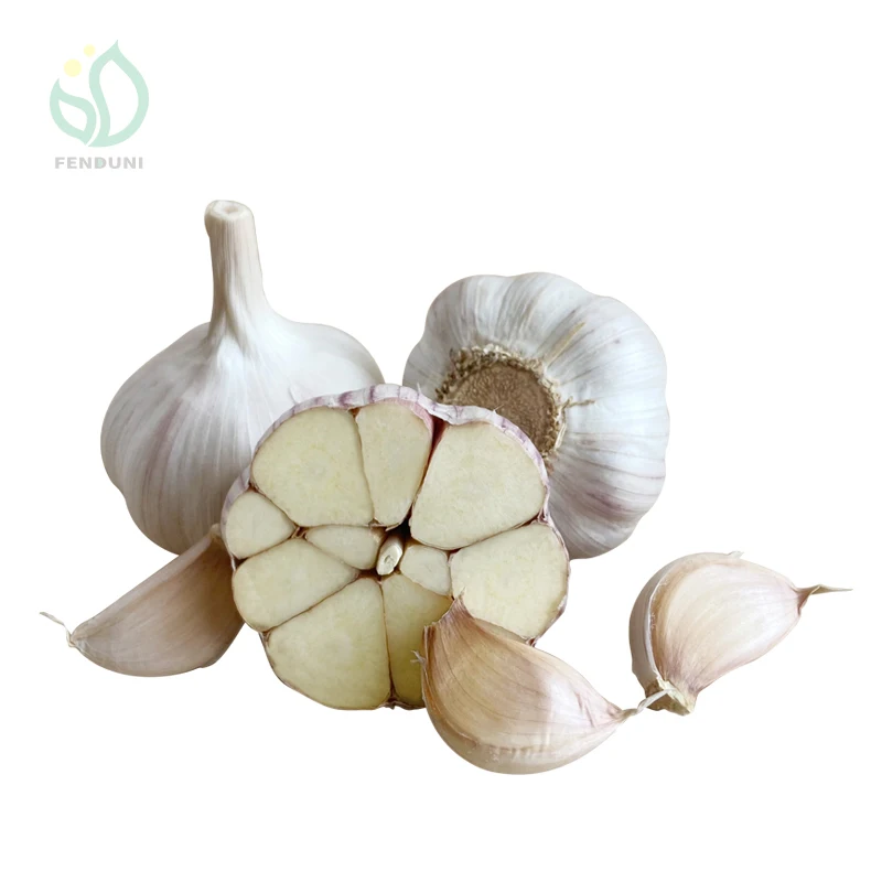 2024 excellent quality garlic fresh garlic garlic exporter from Chinese wholesaler