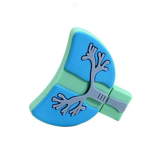 Cartoon Viscera Heart Lung Liver  Usb Flash Drive 2.0 3.0  64gb 32gb 16gb 8gb 4gb Cardiac Usb Stick  Human Organ Pen Drive