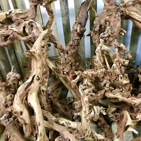 Оптовая продажа качественные корни для аквариума