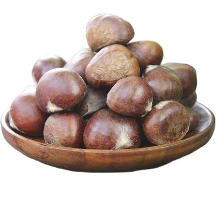 2024 fresh Shandong chestnut 30-45 psc/1kg in 1kg mesh bag/ gunny bag packed chestnut cheap price