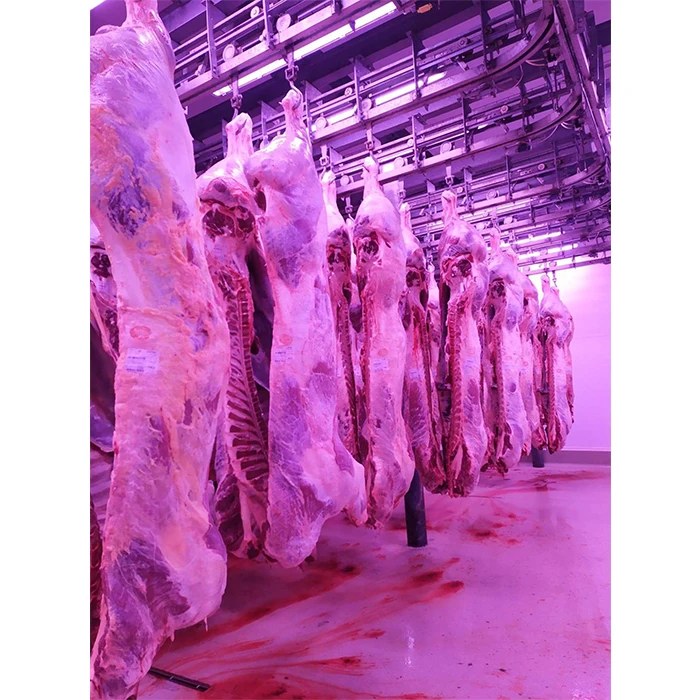 High Quality Natural Beef Meat Cow Carcass( Frame)